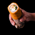 Hand Roll Pollo